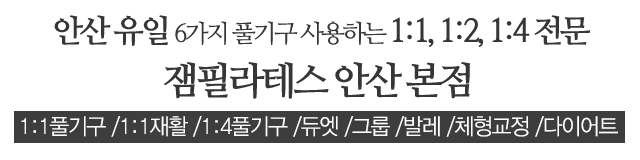 안산 잼 아카데미 많고 많은 필라테스 9